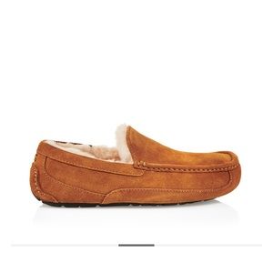 MENS UGG slippers